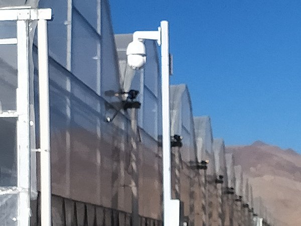 Plastic film greenhouse project 2 in Tibet, China - project view 4