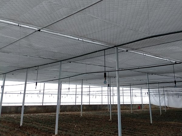 Plastic film greenhouse project 2 in Tibet, China - project view 5