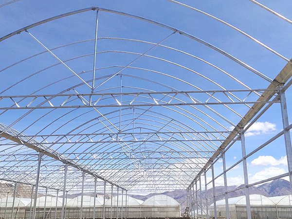 Plastic film greenhouse project 2 in Tibet, China - project view 6
