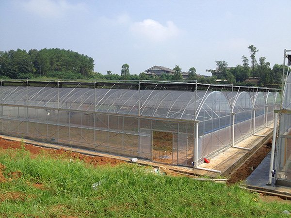 Plastic film greenhouse project in Chongqing, China - project view 2
