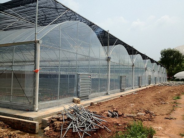 Plastic film greenhouse project in Chongqing, China - project view 3