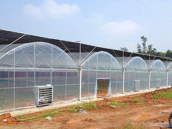 Plastic film greenhouse project in Chongqing, China - project view 4