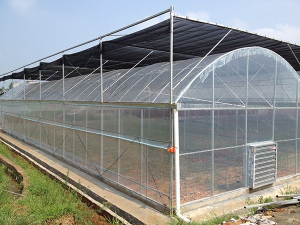 Plastic film greenhouse project in Chongqing, China - project view 5