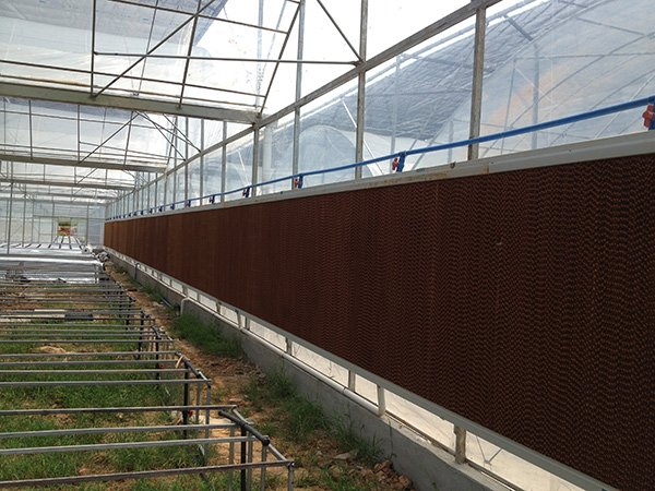 Plastic film greenhouse project in Chongqing, China - project view 7