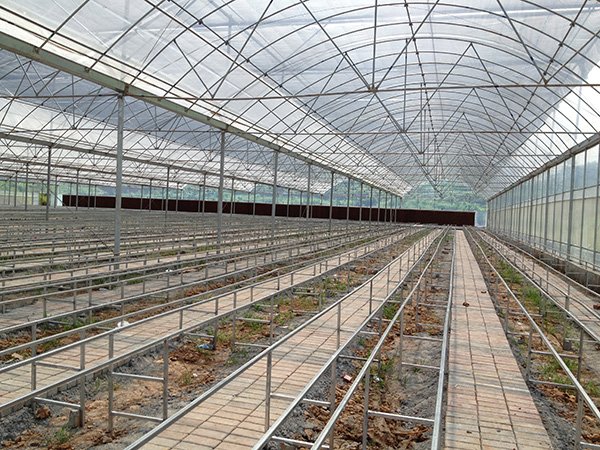 Plastic film greenhouse project in Chongqing, China - project view 8