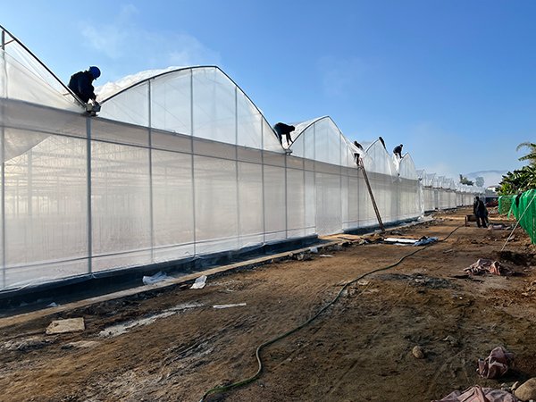 Plastic film greenhouse project in Gansu, China