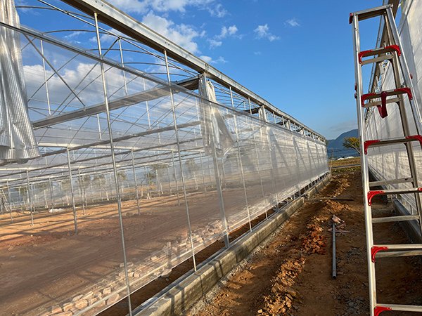 Plastic film greenhouse project in Gansu, China - project view 3