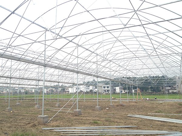 Plastic film greenhouse project in Reunion - project view 2