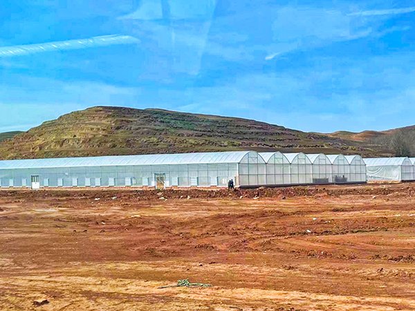 Plastic film greenhouse project in Tajikistan