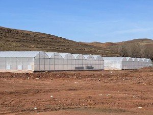 Plastic film greenhouse project in Tajikistan - project view 2