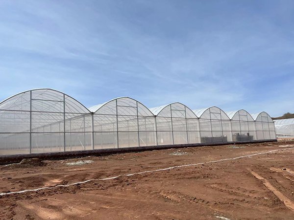 Plastic film greenhouse project in Tajikistan - project view 3