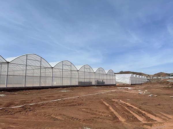 Plastic film greenhouse project in Tajikistan - project view 4