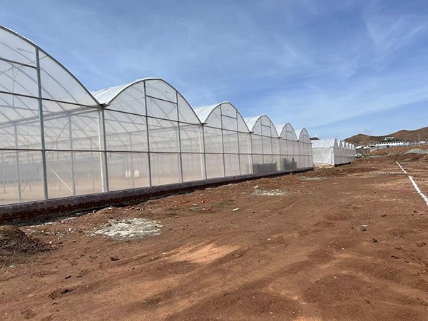 Plastic film greenhouse project in Tajikistan - project view 5