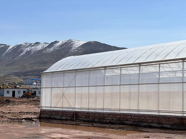 Plastic film greenhouse project in Tajikistan - project view 6