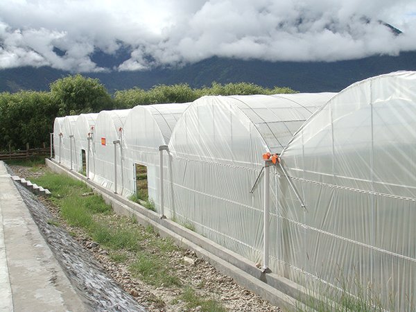 Plastic film greenhouse project in Tibet, China - project view 3