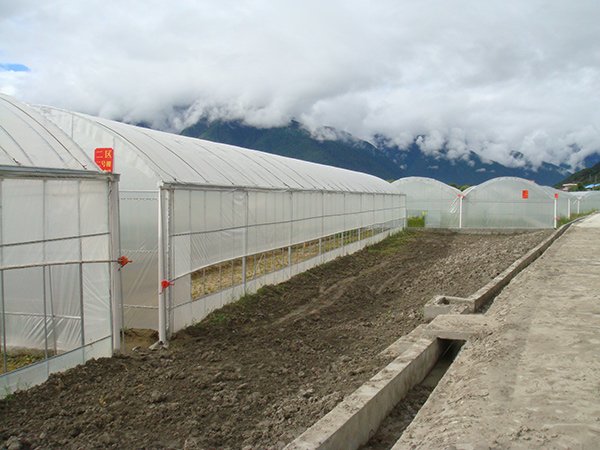 Plastic film greenhouse project in Tibet, China - project view 4