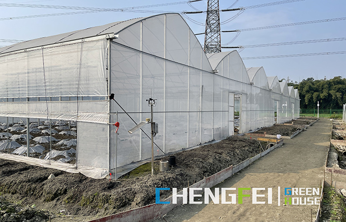 plastic-film-greenhouse