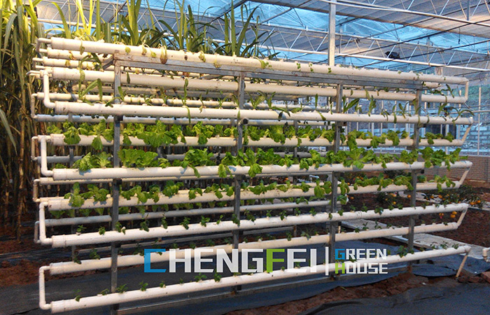 polycarbonate-greenhouse-for-hydroponics