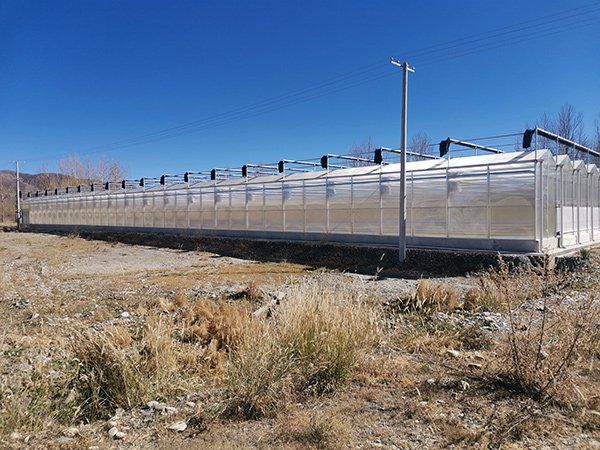 Polycarbonate greenhouse project in Uzbekistan - project view 1