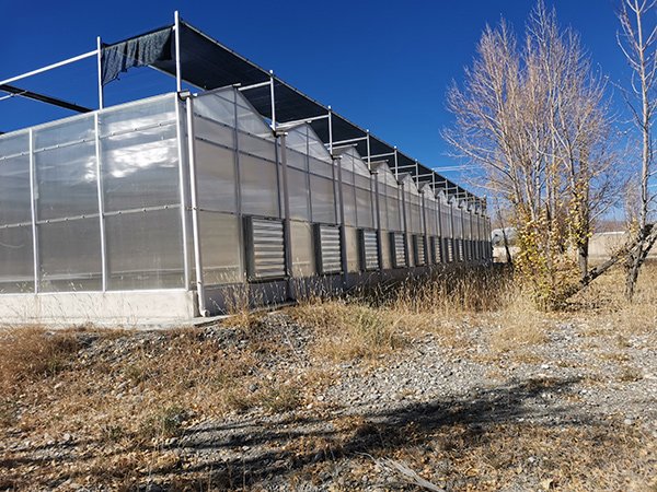 Polycarbonate greenhouse project in Uzbekistan - project view 2