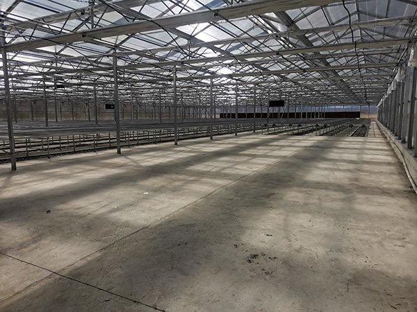 Polycarbonate greenhouse project in Uzbekistan - project view 4
