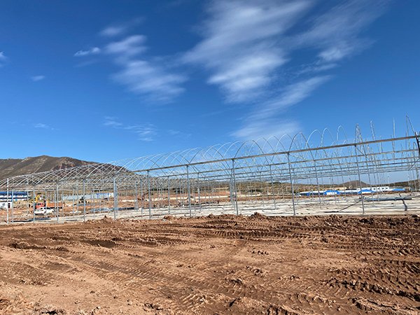 Polycarbonate greenhouse project in Uzbekistan - project view 5