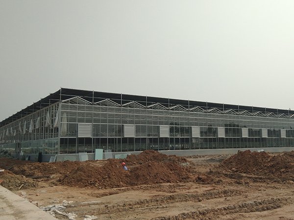 Sightseeing glass greenhouse in Australia - project view 2