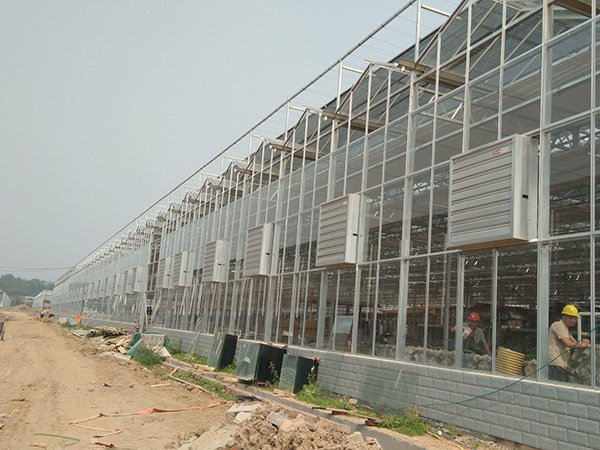 Sightseeing glass greenhouse in Australia - project view 3