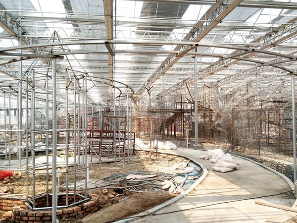 Sightseeing glass greenhouse in Australia - project view 4