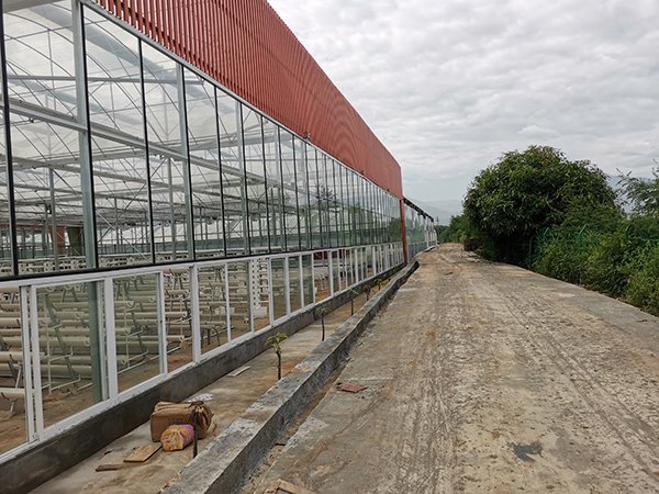 Sightseeing glass greenhouse in Sichuan, China - project view 6