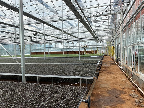 Sightseeing glass greenhouse in Sichuan, China - project view 7