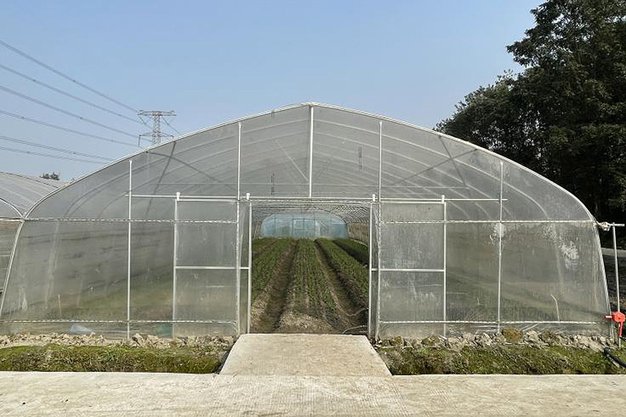 Tunnel Greenhouse