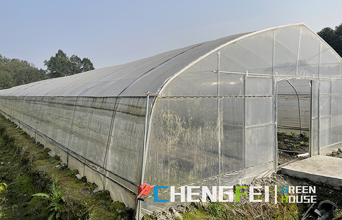 tunnel-greenhouse-2