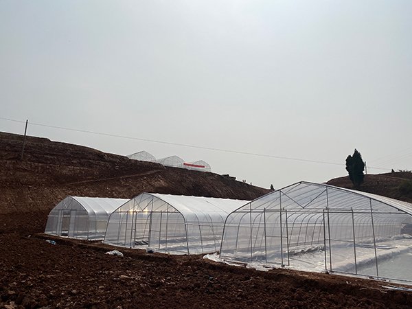 Tunnel greenhouse project in Ghana - project view 1