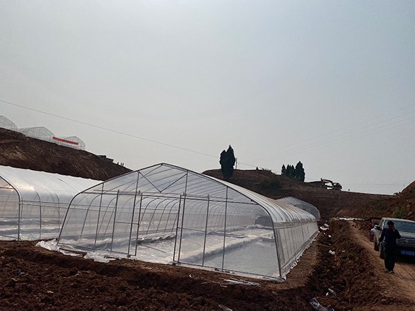 Tunnel greenhouse project in Ghana - project view 3