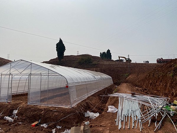 Tunnel greenhouse project in Ghana - project view 4