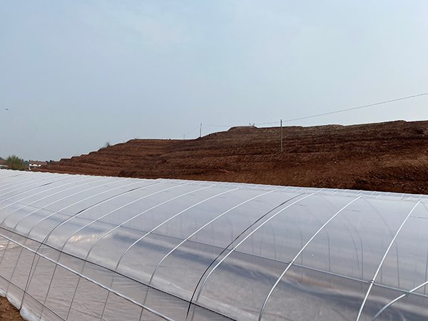 Tunnel greenhouse project in Ghana - project view 5