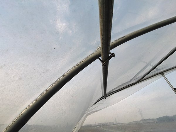 Tunnel greenhouse project in Kazakhstan - project view 4