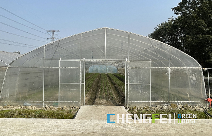 tunnel-greenhouse